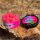 VENOM RONNIE RIG POP-UP 14 MM PINK BCN